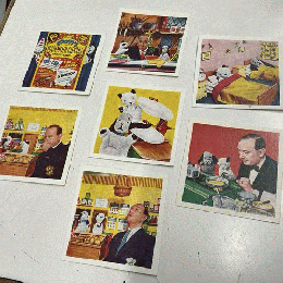 【ご予約品】SOOTY‘S NEW ADVENTURESカード7点