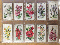 シガレットカード OLD ENGLISH GARDEN FLOWERS