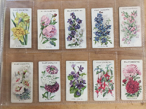 シガレットカード OLD ENGLISH GARDEN FLOWERS｜「GENIO ANTICA